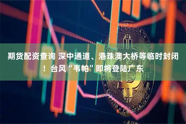 期货配资查询 深中通道、港珠澳大桥等临时封闭！台风“韦帕”即将登陆广东